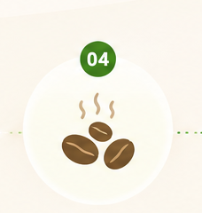 焙煎したコーヒー豆のイラスト（STEP4）